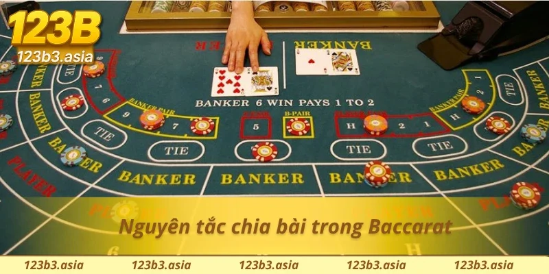 Cách chia bài trong Baccarat 123B