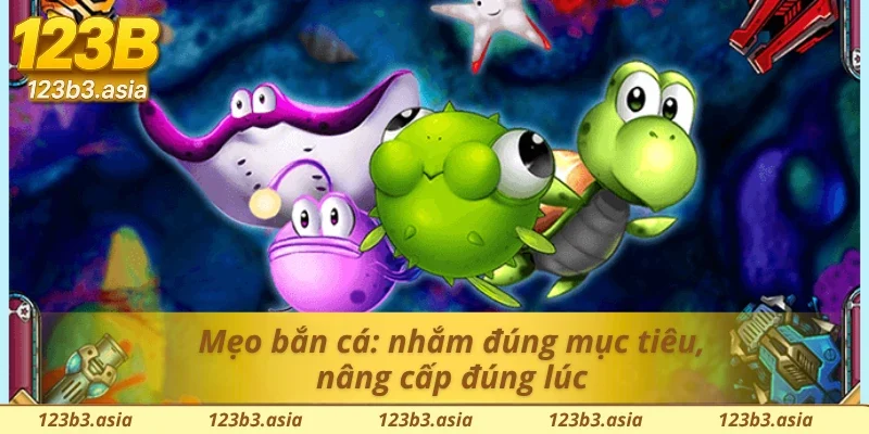 Hướng dẫn thao tác nhanh: bắn cá, nâng súng, săn boss tại bắn cá tiên cá 123B