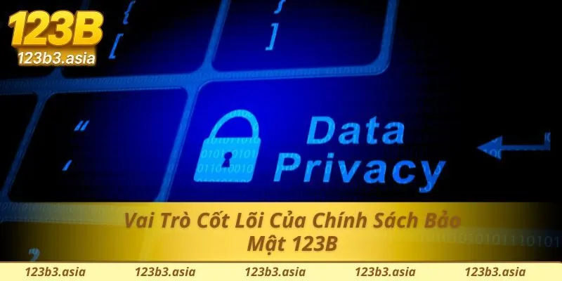 Hiểu rõ vai trò của chính sách bảo mật