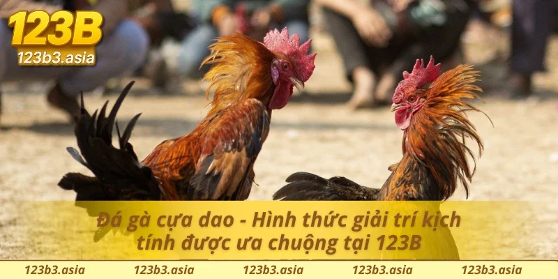 Giới thiệu đá gà