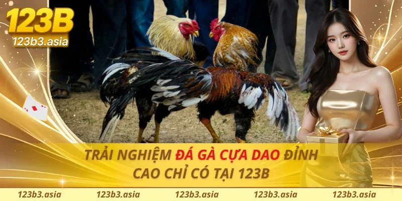 Đá Gà Cựa Dao