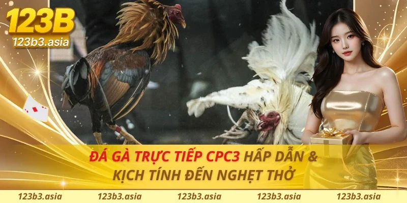 Đá Gà Trực Tiếp CPC3
