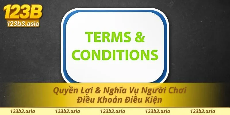 Quyền lợi người chơi trong chính sách điều khoản