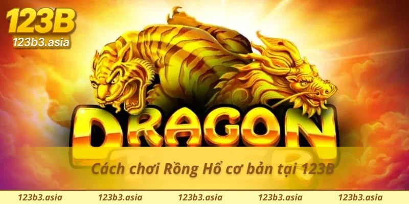 Tân thủ tham gia và trải nghiệm Rồng Hổ 123B cực dễ